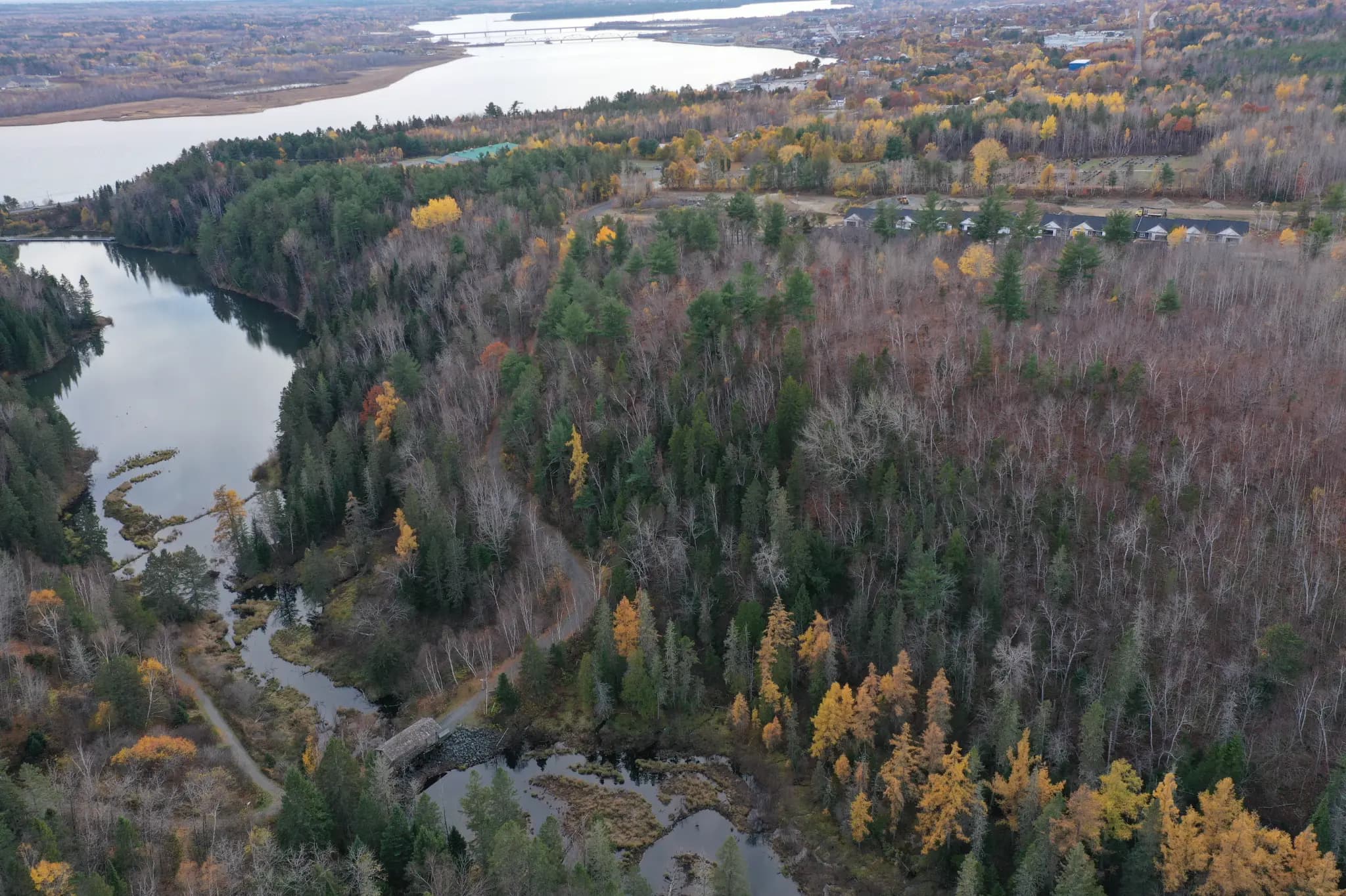 Aerial view of The Cove and Miramichi River