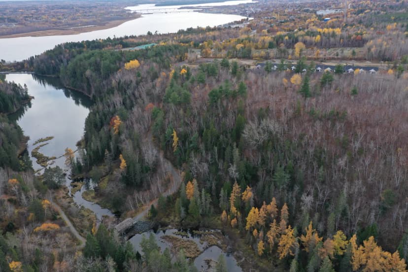 Aerial view of The Cove and Miramichi River