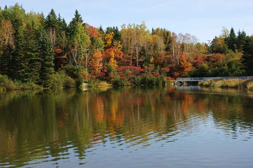 French Fort Cove in autumn