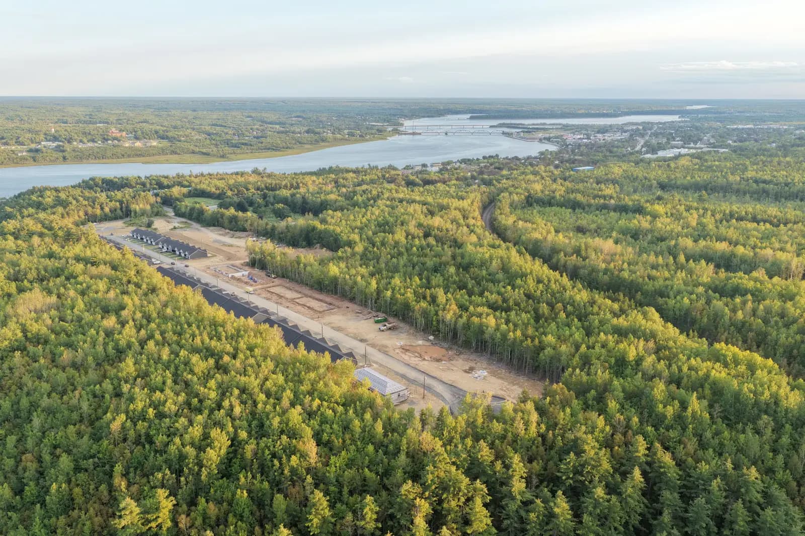 The Cove Living community surrounded by forest with the Miramichi River beyond