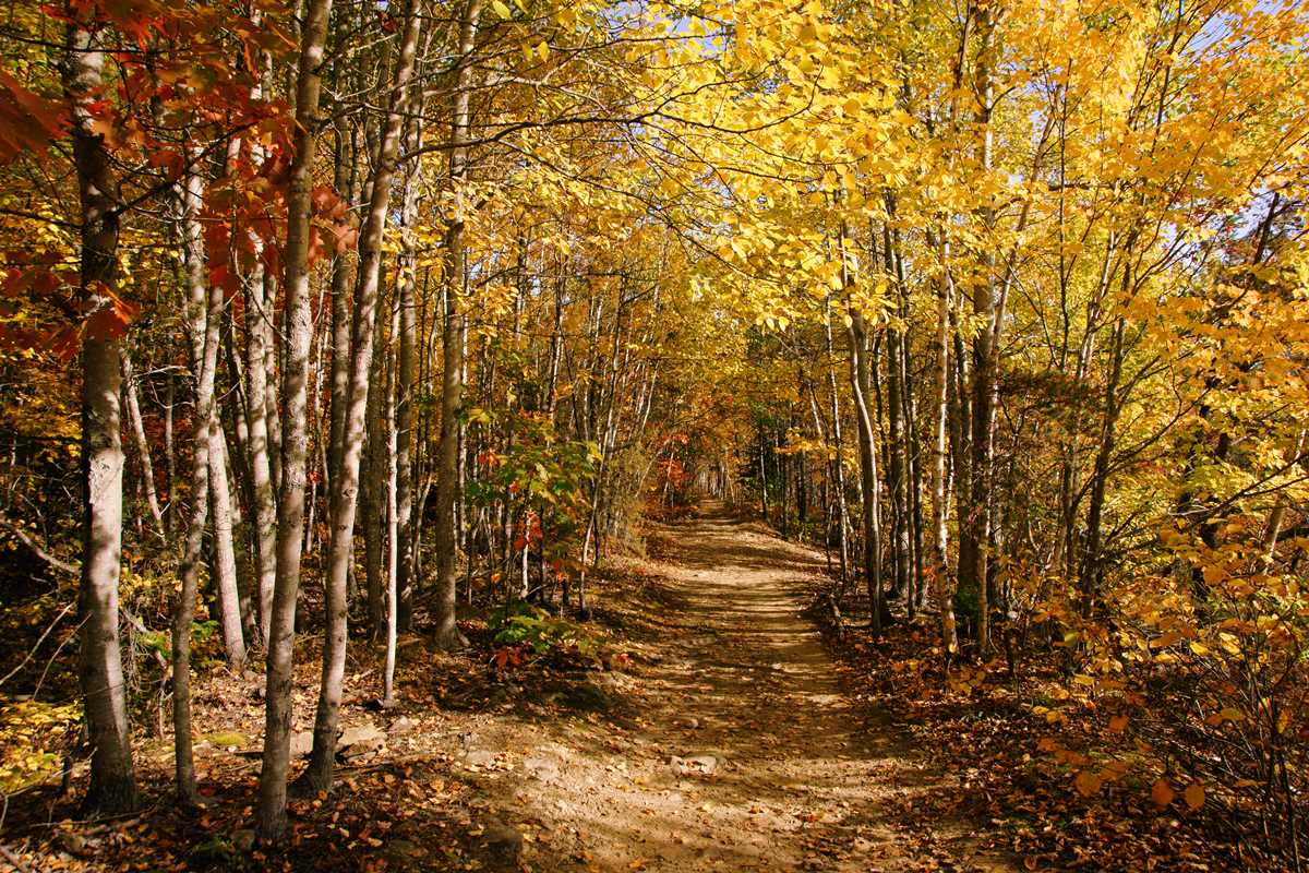 Autumn trail near French Fort Cove